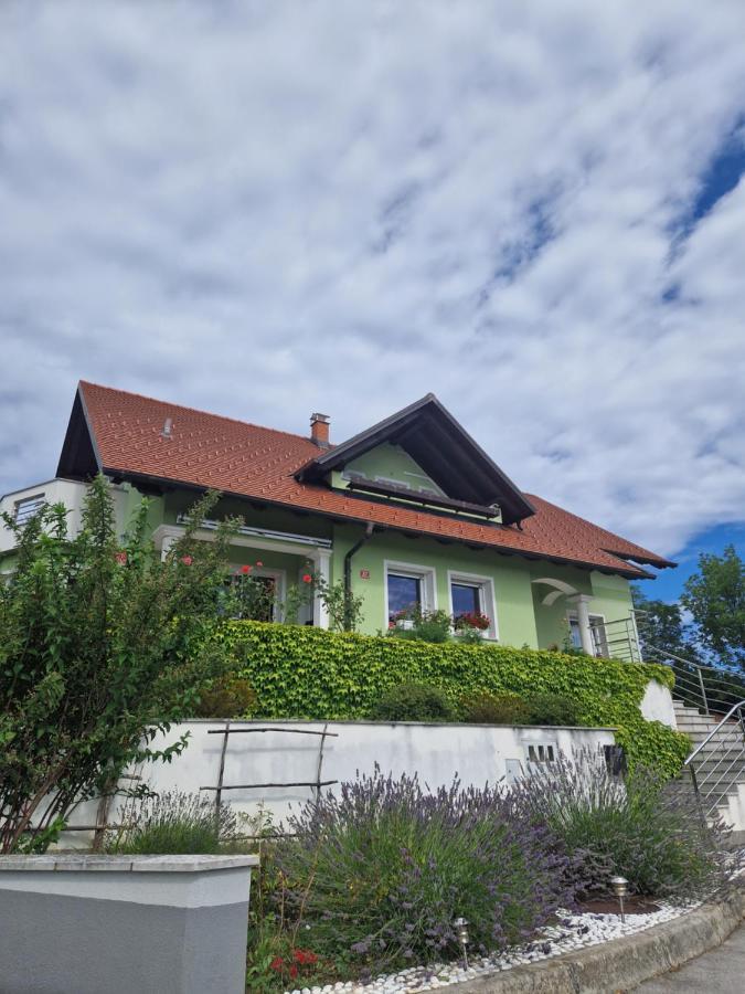 Green House Apartment Pivka Eksteriør billede